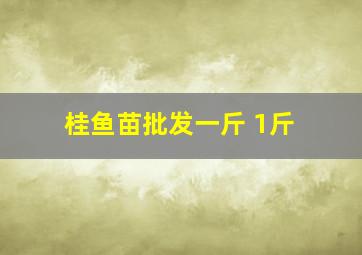 桂鱼苗批发一斤 1斤